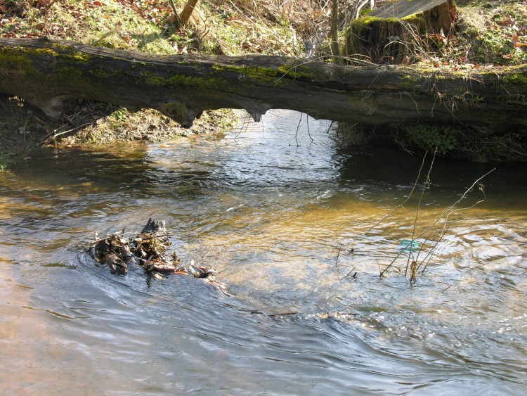 Fonds d'cran Nature Fleuves - Rivires - Torrents La valoine