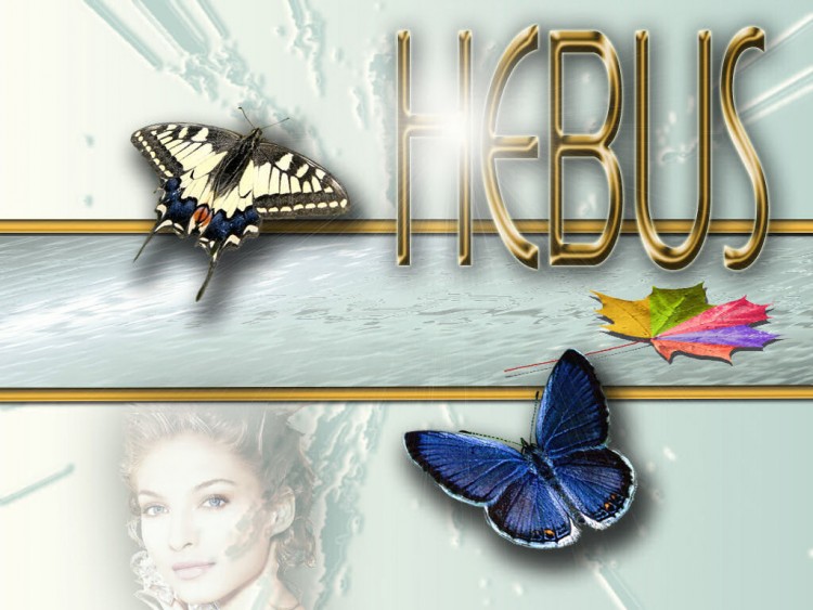 Fonds d'cran Grandes marques et publicit Sites web - Hebus H.E.B.U.S