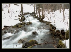 Fonds d'cran Nature Petit torrent du Kolben