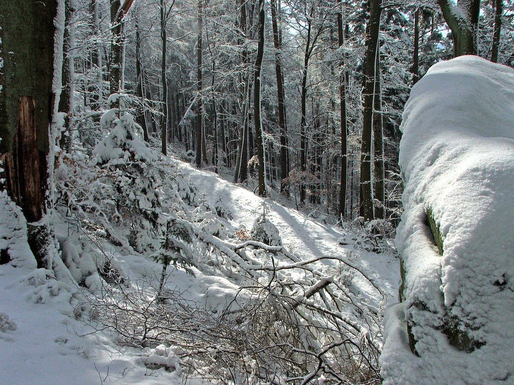 Fonds d'cran Nature Saisons - Hiver Saison d'hiver