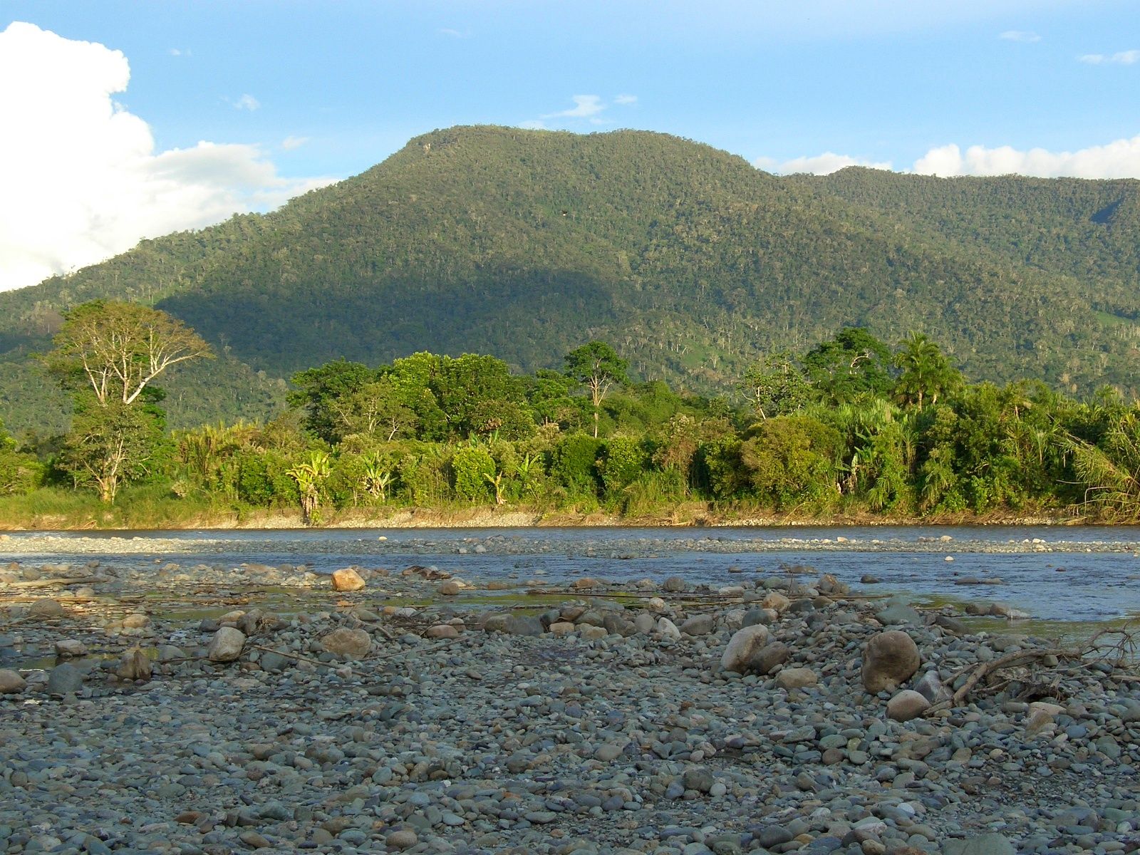 Wallpapers Trips : South America Ecuador Rio en la Selva ecuatoriana