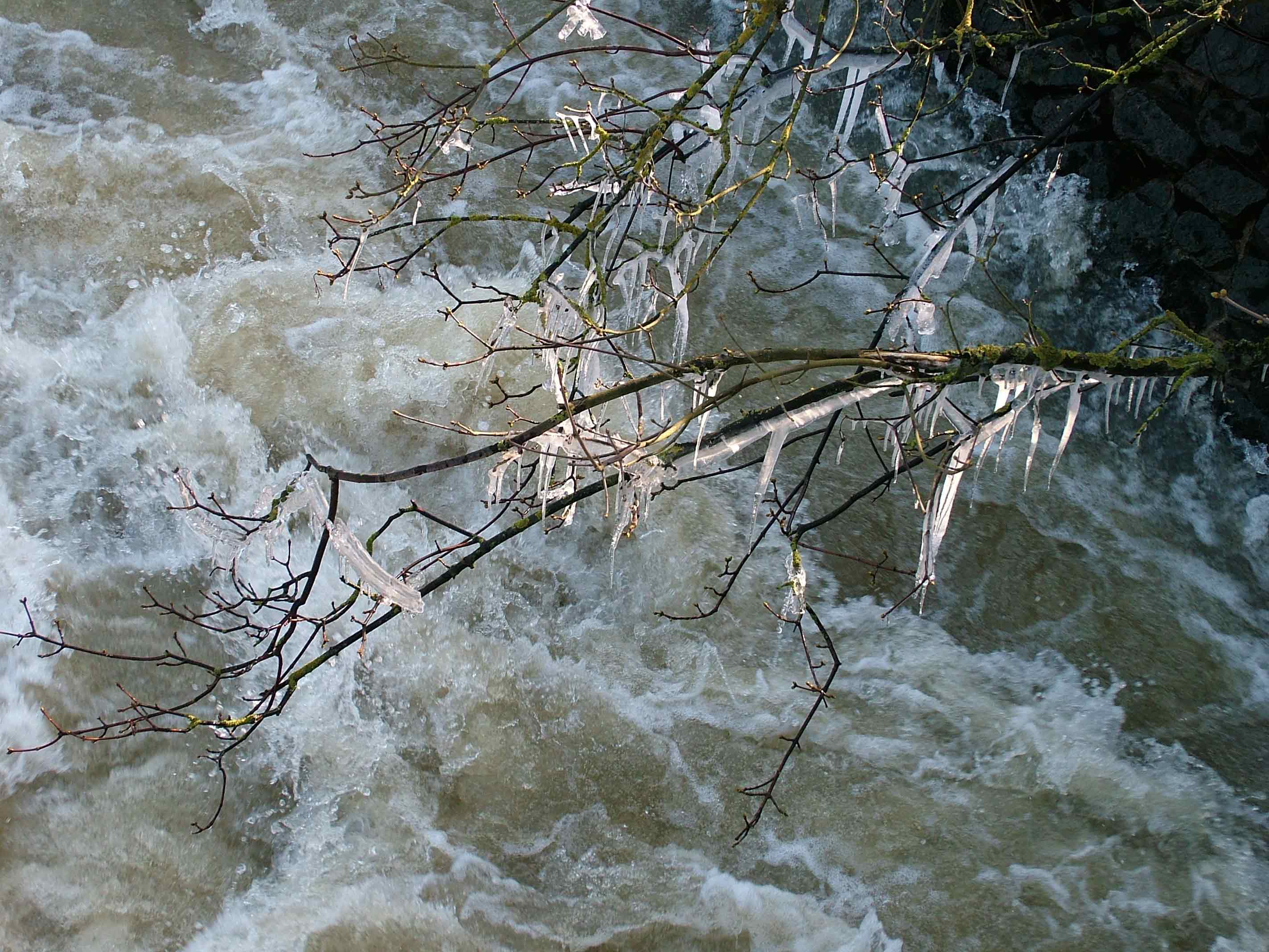 Fonds d'cran Nature Saisons - Hiver 