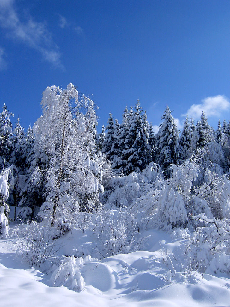 Fonds d'cran Nature Saisons - Hiver Payasge enneig