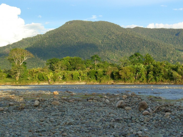 Fonds d'cran Voyages : Amrique du sud Equateur Rio en la Selva ecuatoriana