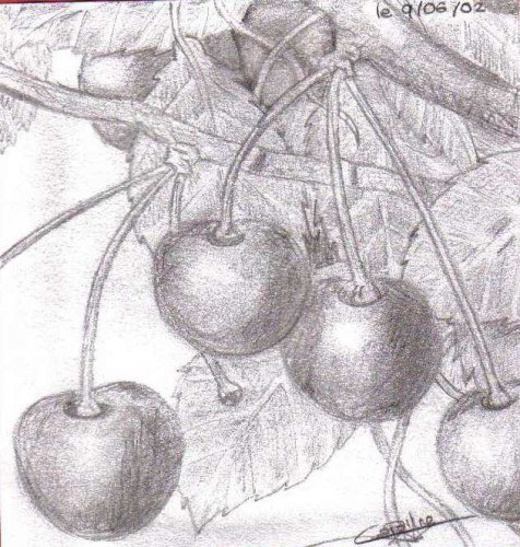 Fonds d'cran Art - Crayon Fleurs - Feuilles - Fruits Le Temps des Cerises