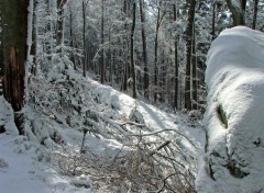 Fonds d'cran Nature Saison d'hiver