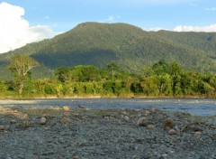 Fonds d'cran Voyages : Amrique du sud Rio en la Selva ecuatoriana