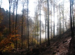 Fonds d'cran Nature EN ALSACE