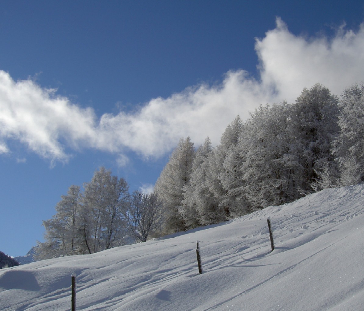 Wallpapers Trips : Europ Switzerland Paysage hivernal