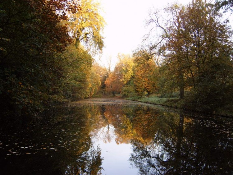 Wallpapers Nature Lakes - Ponds Bois de Boulogne  Lille