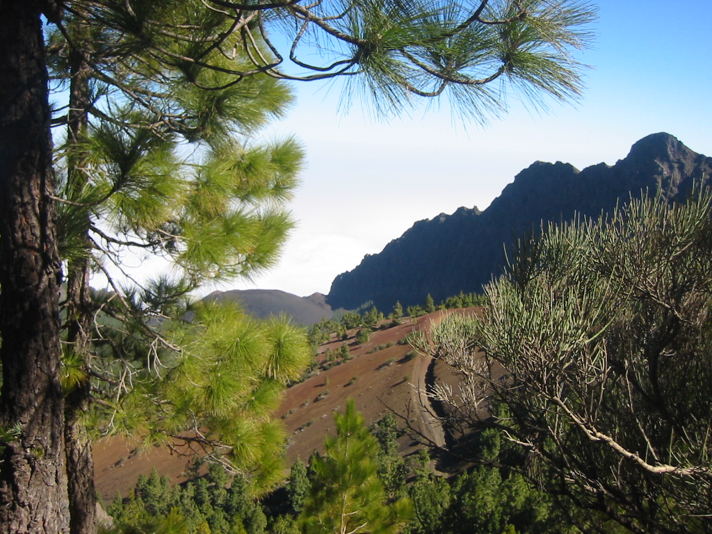 Fonds d'cran Voyages : Afrique Les Canaries Tenerife - Massif du Tede