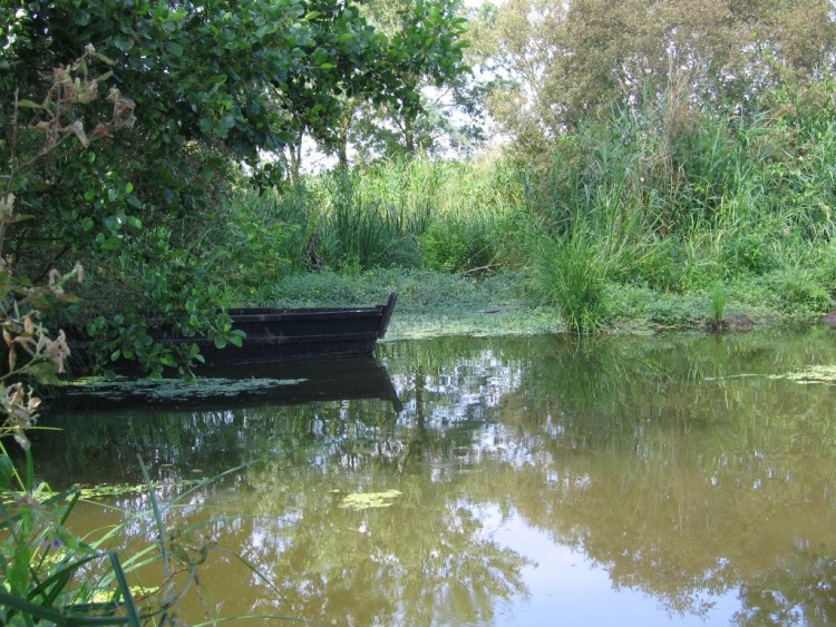 Fonds d'cran Nature Couchers et levers de Soleil Barque dans le marais