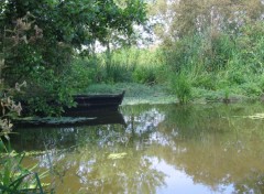 Fonds d'cran Nature Barque dans le marais