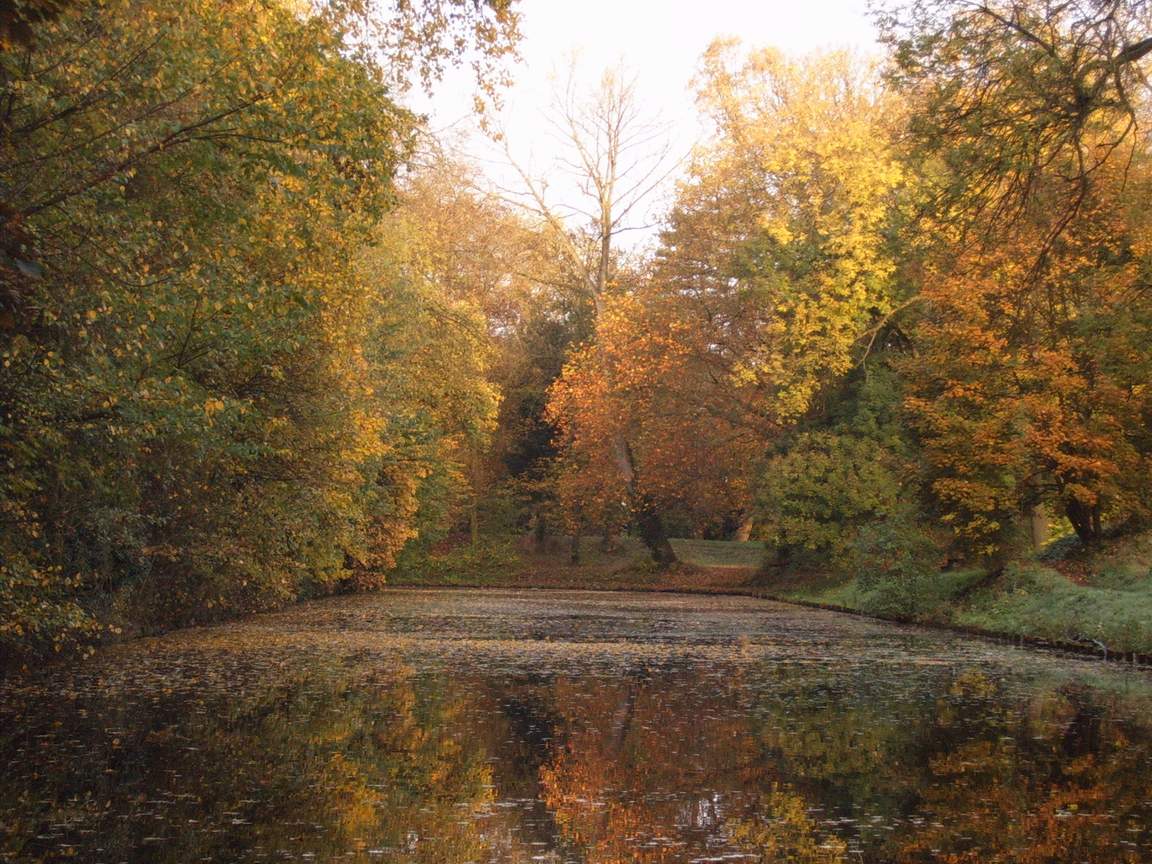 Wallpapers Nature Seasons - Fall Bois de Boulogne  Lille