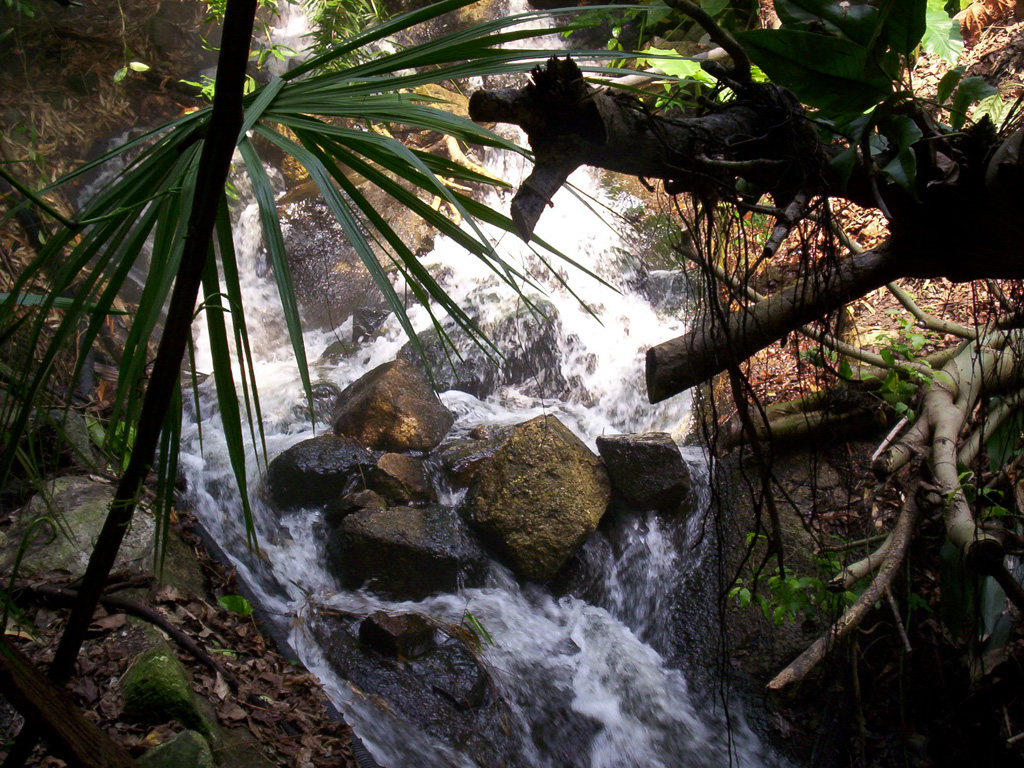 Fonds d'cran Nature Fleuves - Rivires - Torrents Eden project