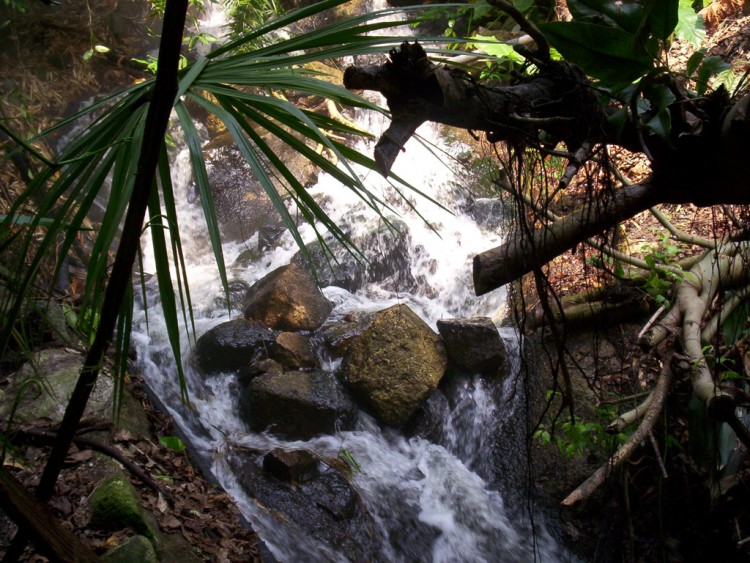 Fonds d'cran Nature Fleuves - Rivires - Torrents Eden project