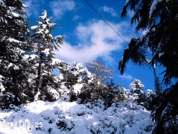 Fonds d'cran Nature Saisons - Hiver Chreaa-2 (algerie)