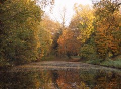 Fonds d'cran Nature Bois de Boulogne  Lille