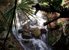 Fonds d'cran Nature Eden project