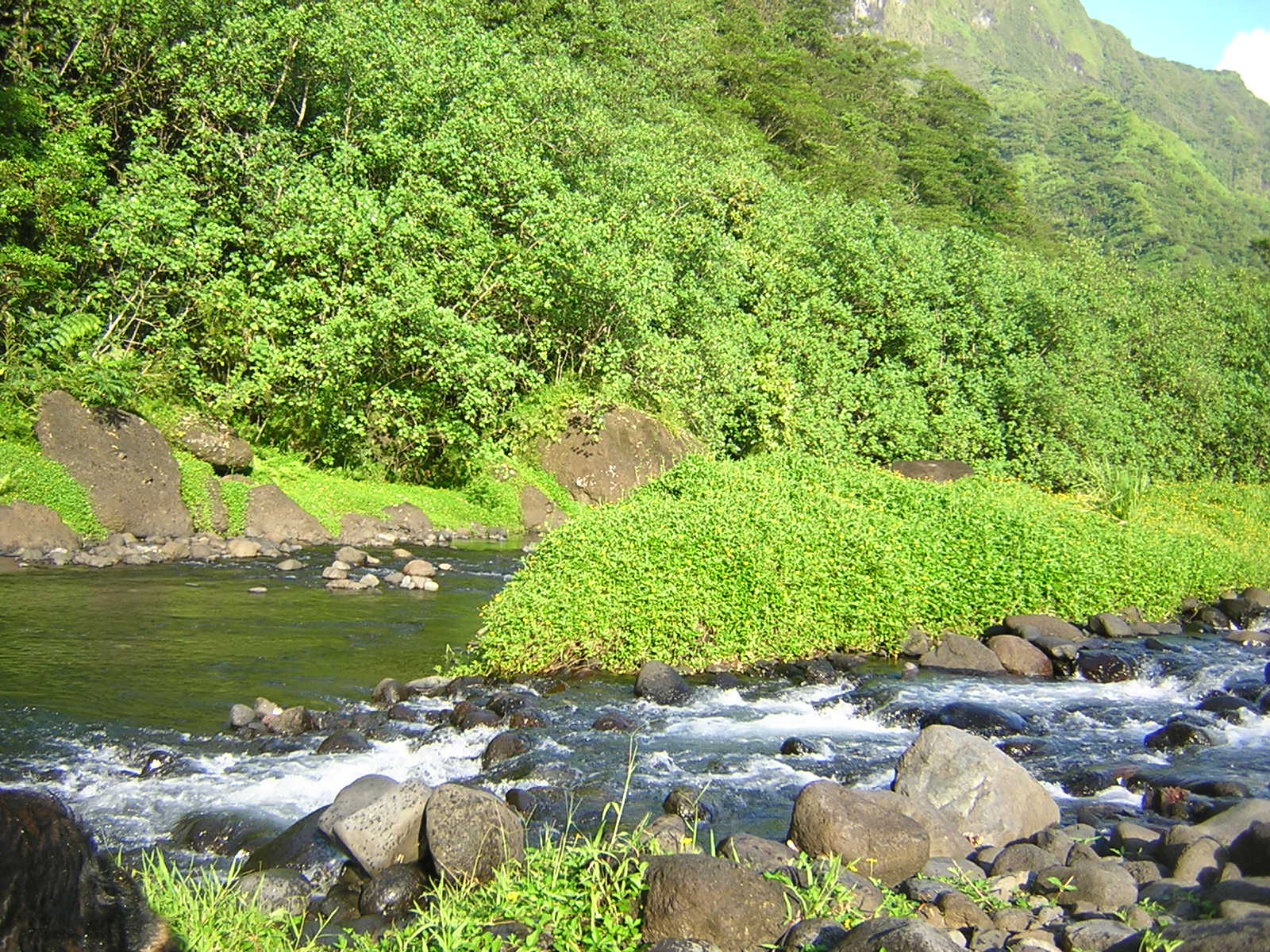 Fonds d'cran Nature Fleuves - Rivires - Torrents fraicheur fraicheur !!