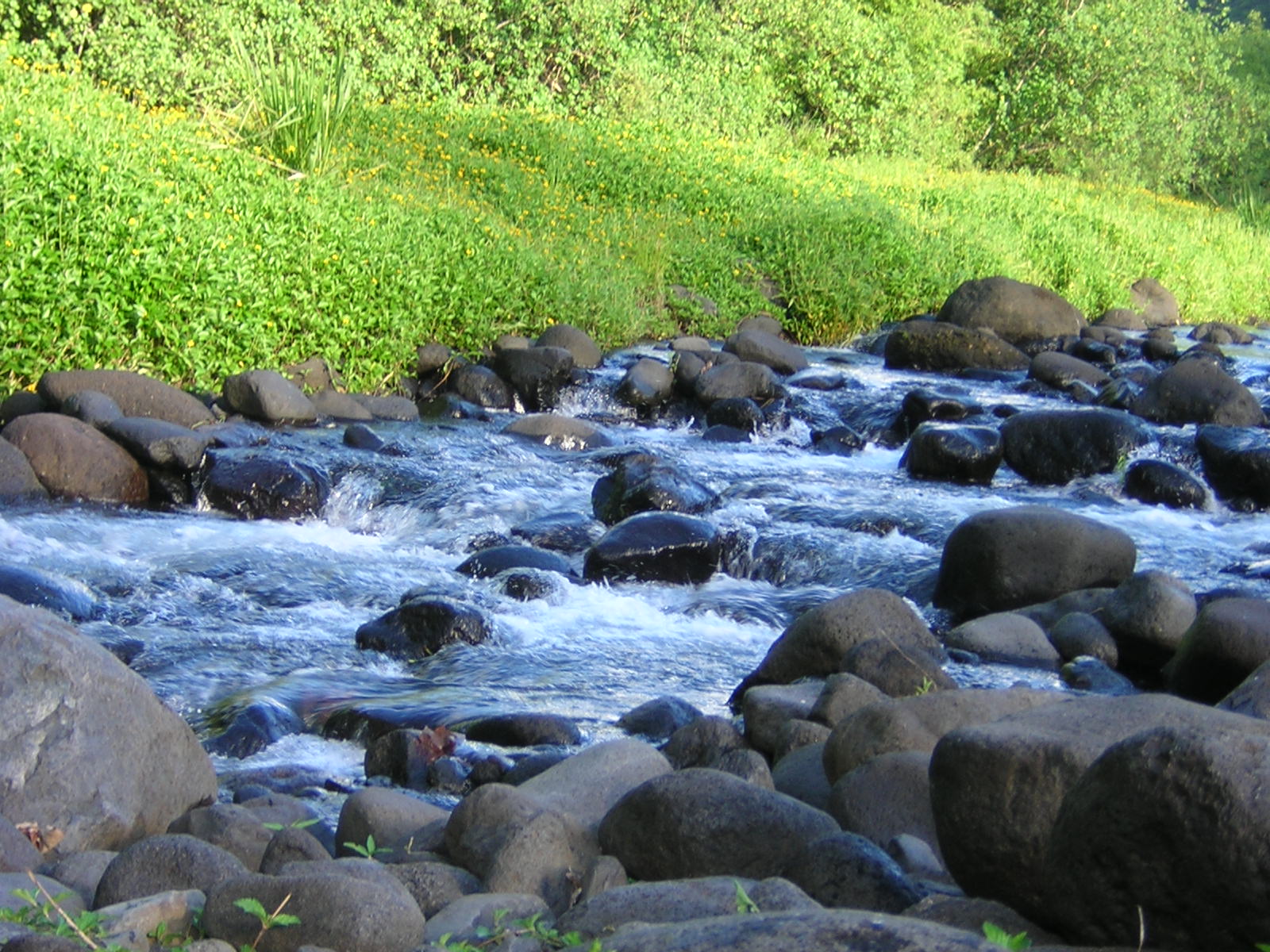 Fonds d'cran Nature Fleuves - Rivires - Torrents 