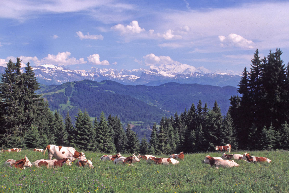 Fonds d'cran Nature Montagnes Savoie