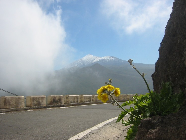 Fonds d'cran Voyages : Afrique Les Canaries Route de Masca (Tenerife)