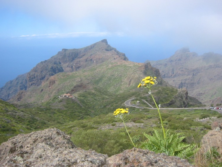 Fonds d'cran Voyages : Afrique Les Canaries Route de Masca (Tenerife)