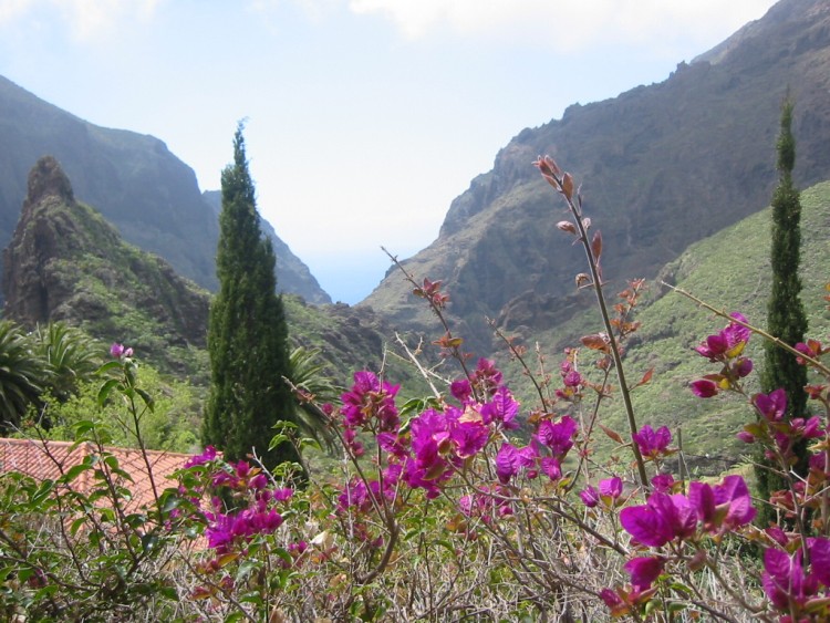 Wallpapers Trips : Africa Canaria Valle de Masca (Tenerife) 2