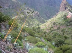 Fonds d'cran Voyages : Afrique Valle de Masca (Tenerife) 1