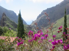 Fonds d'cran Voyages : Afrique Valle de Masca (Tenerife) 2