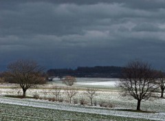 Fonds d'cran Nature Saison d'hiver