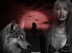 Fonds d'cran Erotic Art loup - garou et femme