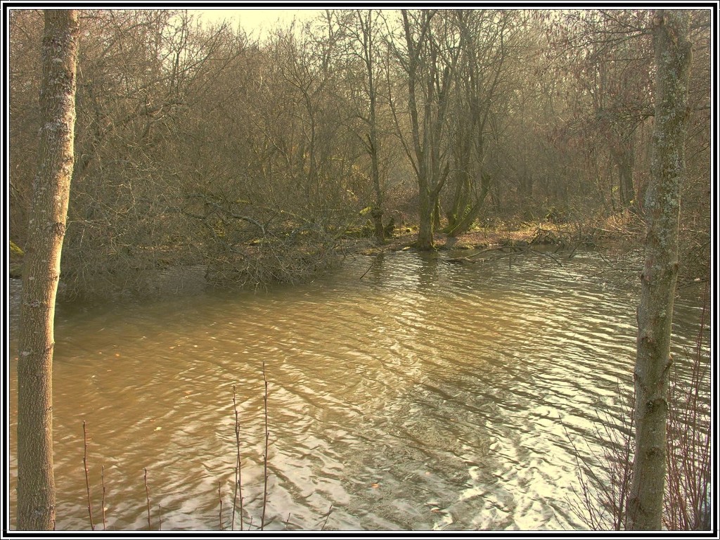 Wallpapers Nature Lakes - Ponds 