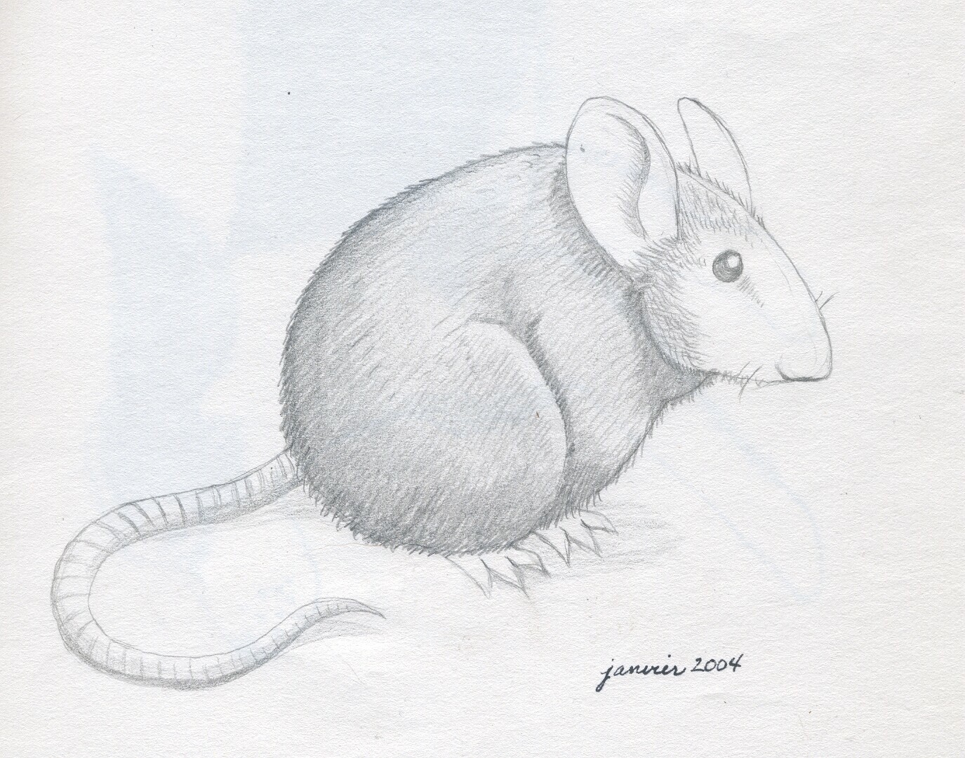 Wallpapers Art - Pencil Animals - Mice 