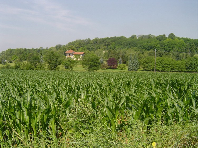 Wallpapers Trips : Europ France > Rhne-Alpes Proulieu dans l'Ain