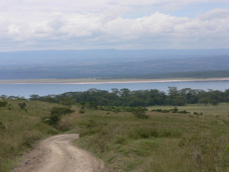 Fonds d'cran Voyages : Afrique Kenya le lac nakuru