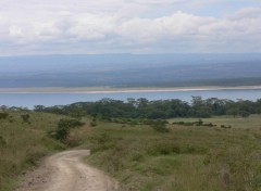 Fonds d'cran Voyages : Afrique le lac nakuru