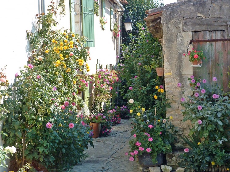 Fonds d'cran Nature Fleurs Ruelle en fleurs