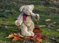 Fonds d'cran Objets Twist again with Teddy Bear...