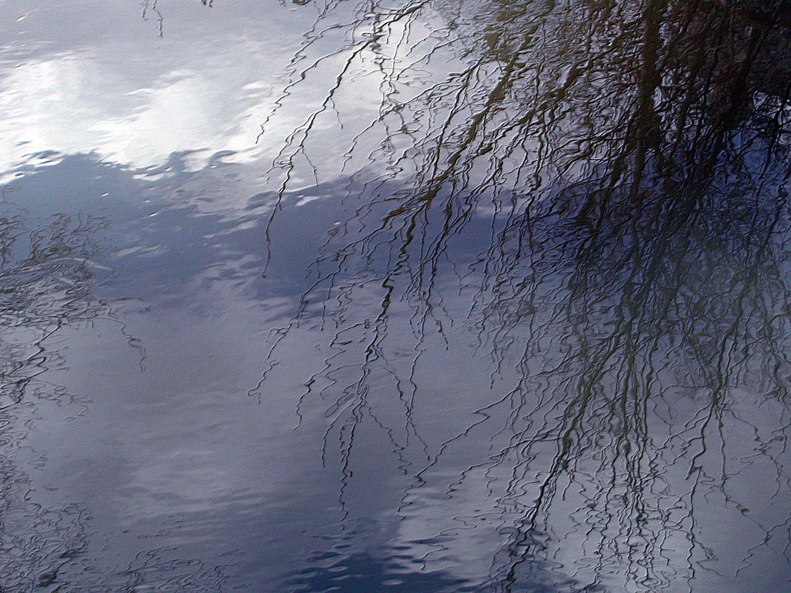 Wallpapers Nature Water - Reflection Reflets