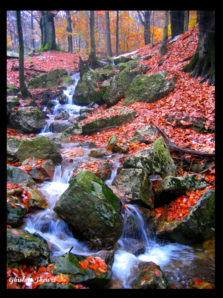 Fonds d'cran Nature Saisons - Automne petit ruisseau  Spa