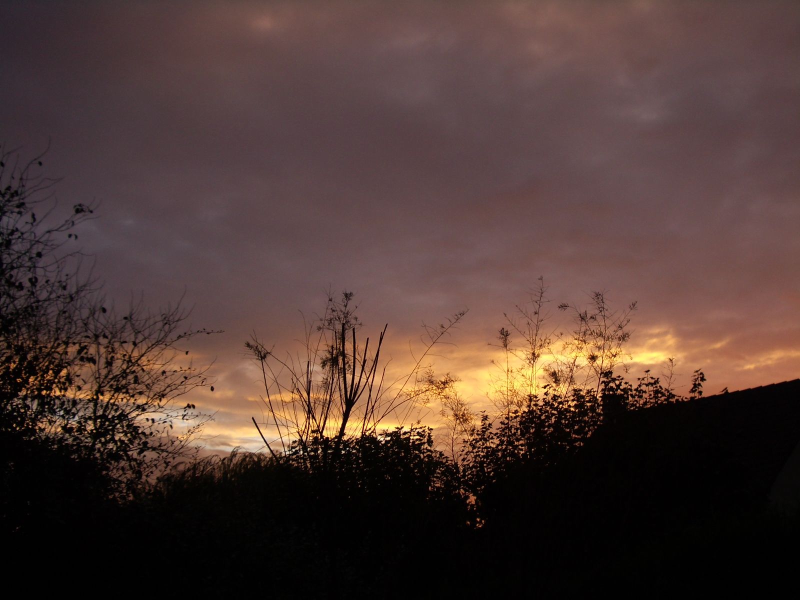 Fonds d'cran Nature Ciel - Nuages Lever de soleil sur ciel nuageux