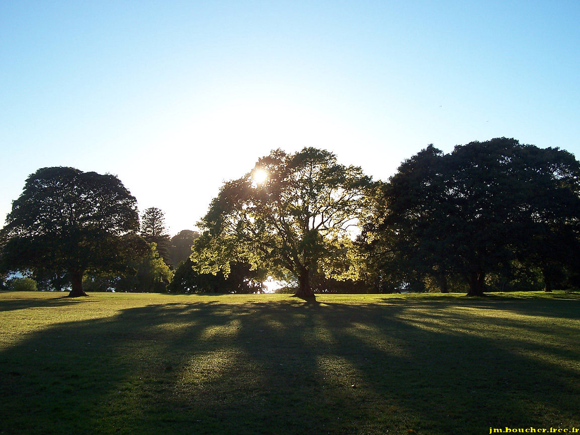 Fonds d'cran Nature Parcs - Jardins Botanic Garden de Sydney