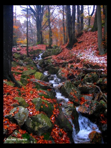 Fonds d'cran Nature Saisons - Automne petit ruisseau  Spa