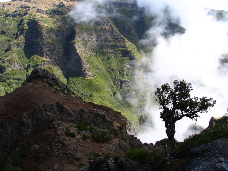 Fonds d'cran Voyages : Europe Madre Paysage dpaysant.