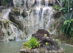 Fonds d'cran Nature cascade en Guadeloupe !