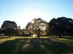 Wallpapers Nature Botanic Garden de Sydney