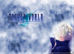 Fonds d'cran Grandes marques et publicit ToshopWorld-Final Fantasy