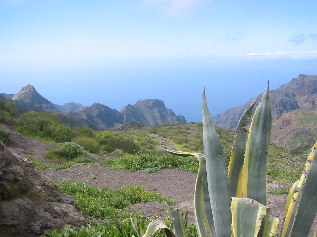 Wallpapers Trips : Africa Canaria Alos  Masca (Tnrife)